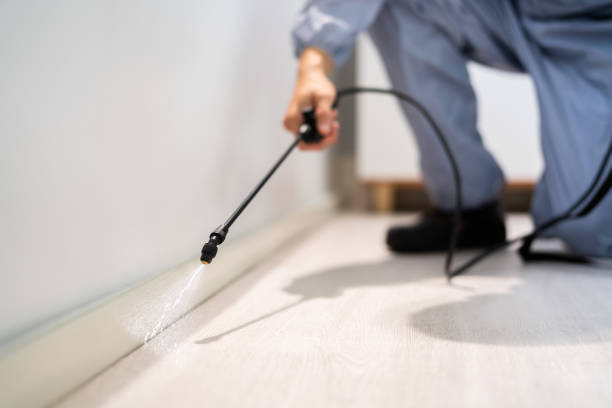 Licensed Termite Control service in Pearl River County County, MS - Nex Pest Control