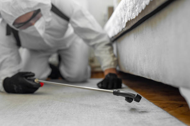 Professional Termite Control technician working in Pearl River County County, MS